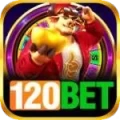 120bet Gaming Champion